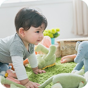 image 05 - Organic Cotton Baby Toys and Gifts Since 2003 | miYim